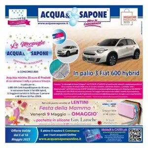 thumbnail of Volantino 10 Web LENTINI